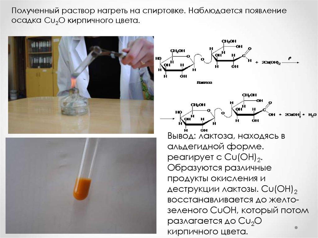 Cu oh 2 реакция. Лактоза и гидроксид меди 2. Реакция Троммера с лактозой. Качественная реакция на лактозу. Реакция лактозы с гидроксидом меди 2.