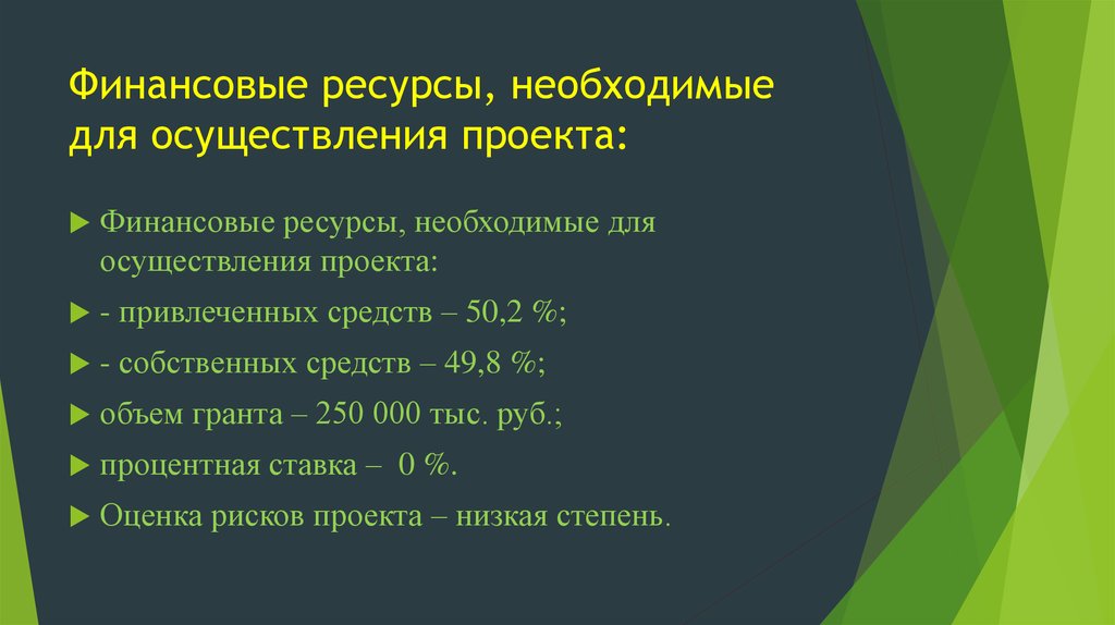 Ресурсы необходимые для реализации проекта относят к