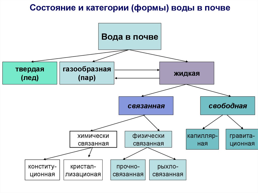 Источник воды в почве. Формы воды в почве. Состояние и категории формы воды в почве. Категории и формы влаги в почве. Состояние воды в почве.