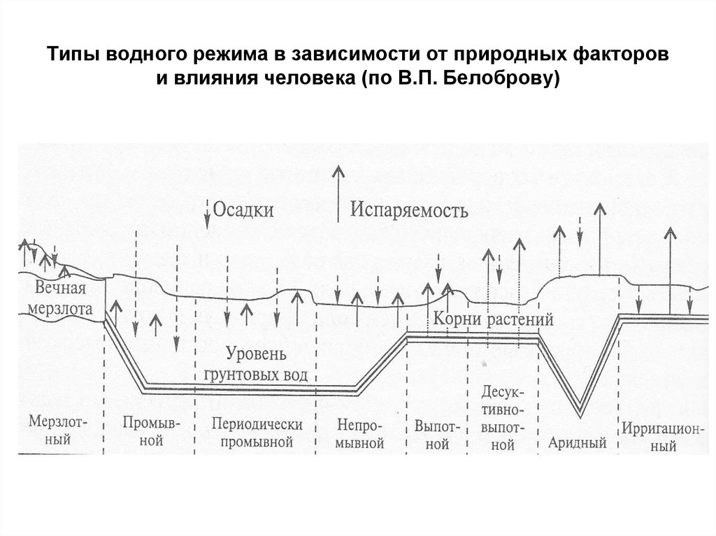 Типы водного режима. Типы водного режима почв. Типы водного режима почв схема. Промывной Тип водного режима почв. Периодически промывной Тип водного режима почв.