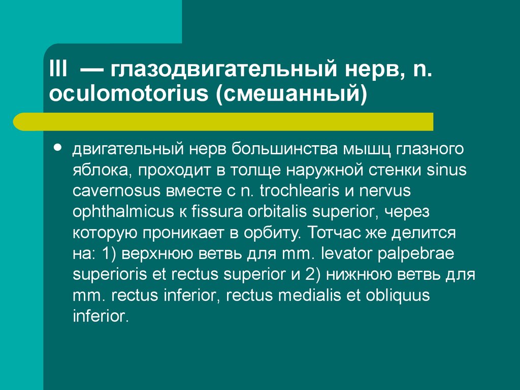 Двигательные нервы глаза. Глазодвигательный нерв смешанный или двигательный. Глазодвигательный нерв смешанный. III – N. oculomotorius (глазодвигательный нерв). Глазодвигательный нерв путь.