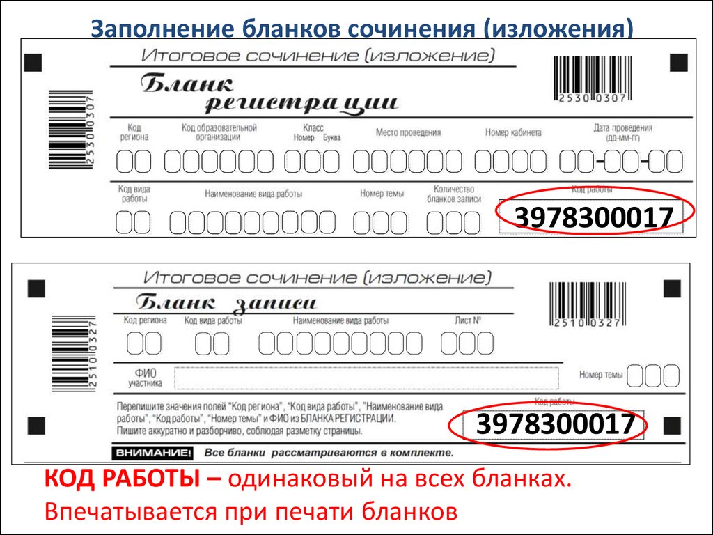 Код работы. Заполнение бланков на сочинении. Заполнение Бланка сочинения. Бланки заполнения для сочинения. Бланк заполнения сочинения.