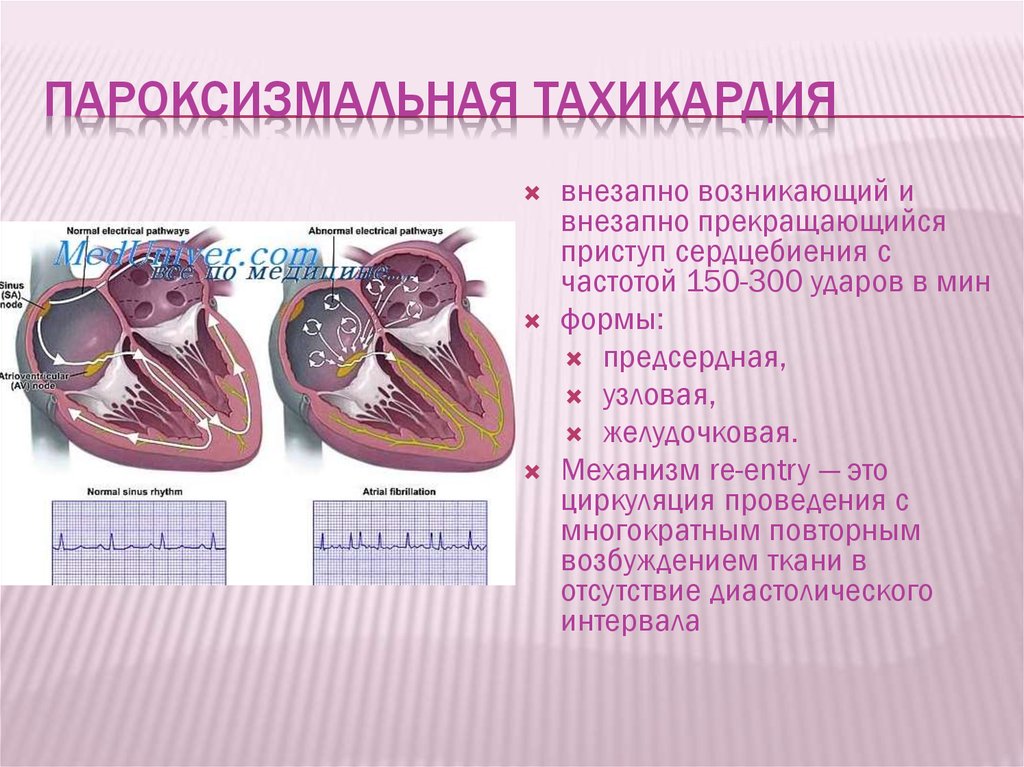 Проводящая система сердца презентация анатомия