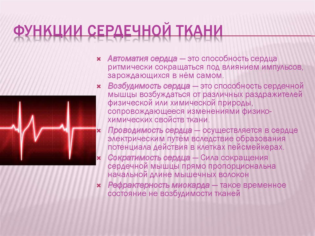 Проводить импульсы. Сердечная мышечная ткань функции. Функции сердечной ткани. Функции сердечной мышечной ткани. Способность сердечной мышцы сокращаться под действием импульсов.