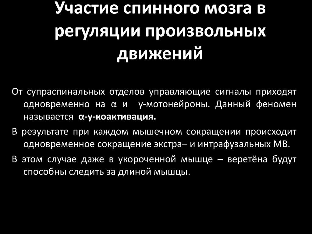 Регуляция движений. Роль спинного мозга в регуляции двигательной активности. Спинной мозг в регуляции движений. Роль спинного мозга в регуляции движений и мышечного тонуса.. Роль спинного мозга в регуляции тонуса мышц.