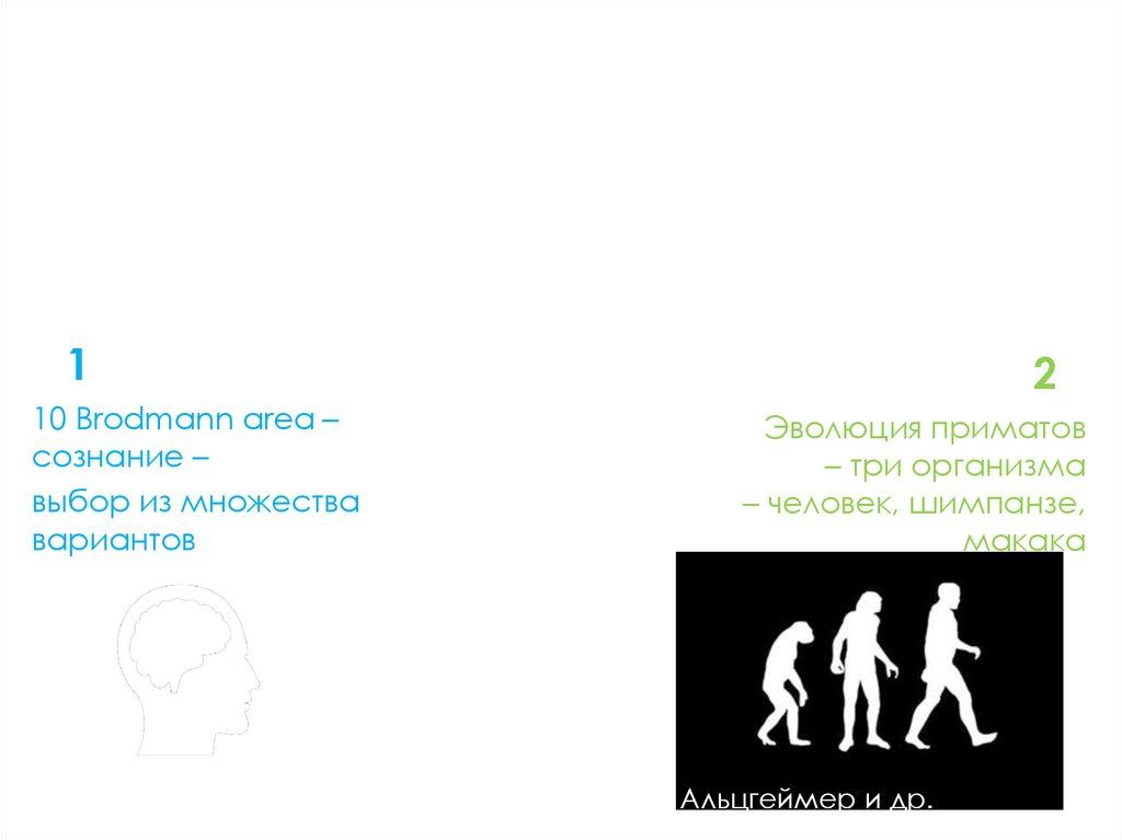 Направления работы