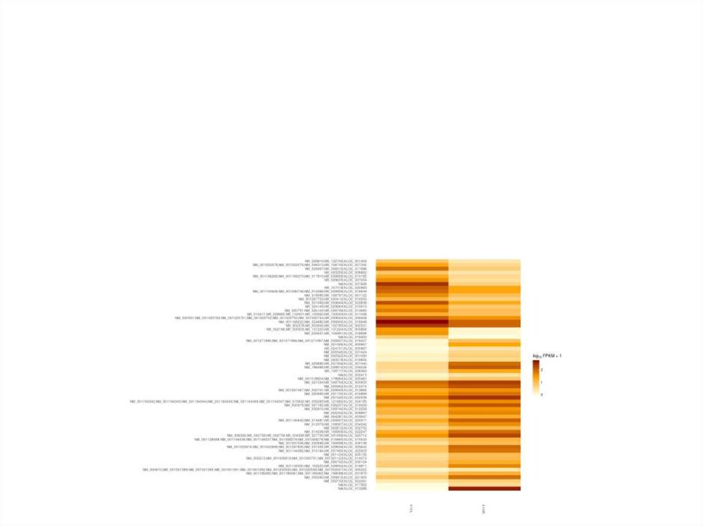 10я зона Бродмана: результаты