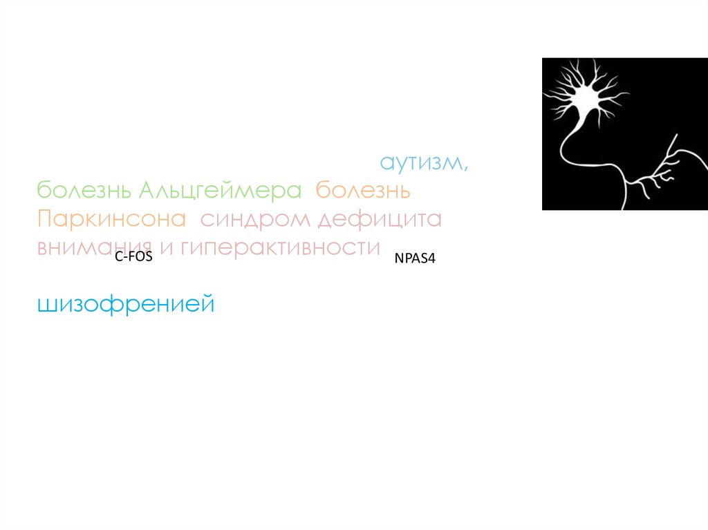 10я зона Бродмана: результаты