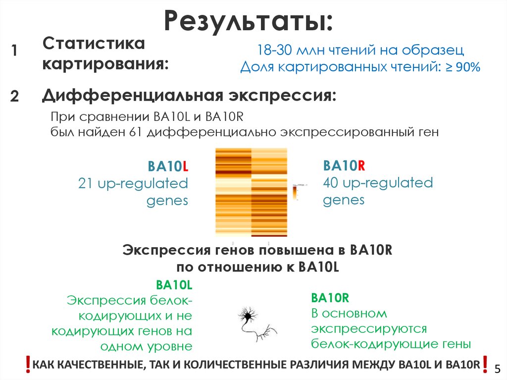Результаты: