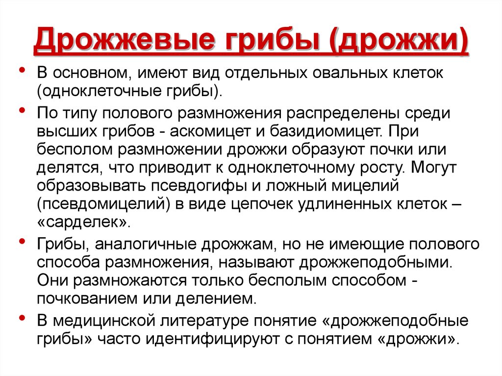 В основном имеет. Дрожжевые грибы дрожжи имеют вид отдельных овальных клеток. Дрожжи понятие. Дрожжи размножения понятие. Подцарство дрожжей.