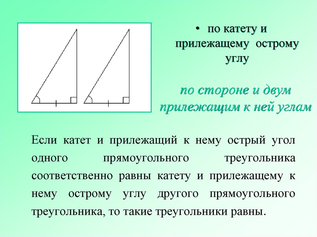 Прямоугольный треугольник две стороны равны. Если катет и острый угол. По катету и острому углу. По катету и прилежащему острому углу. Если катет и прилежащий к нему острый угол.