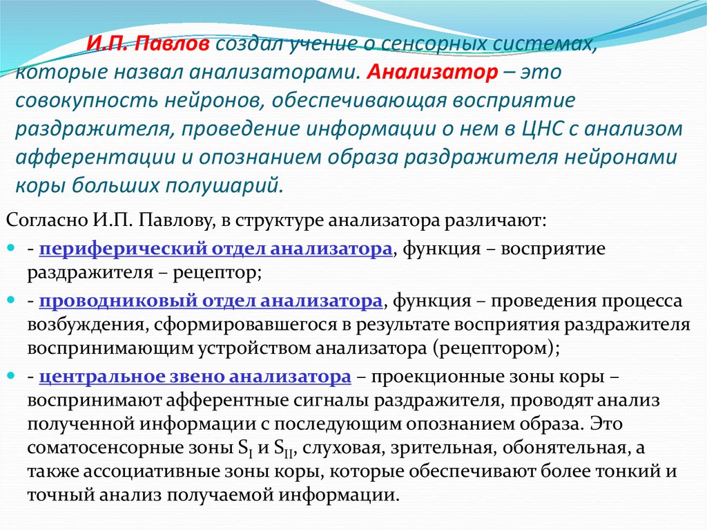 Схема обонятельного анализатора по павлову