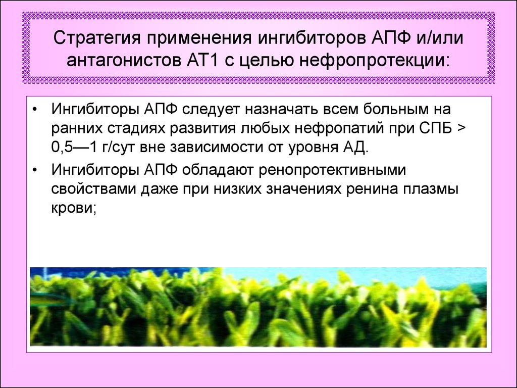 Контраст индуцированная нефропатия