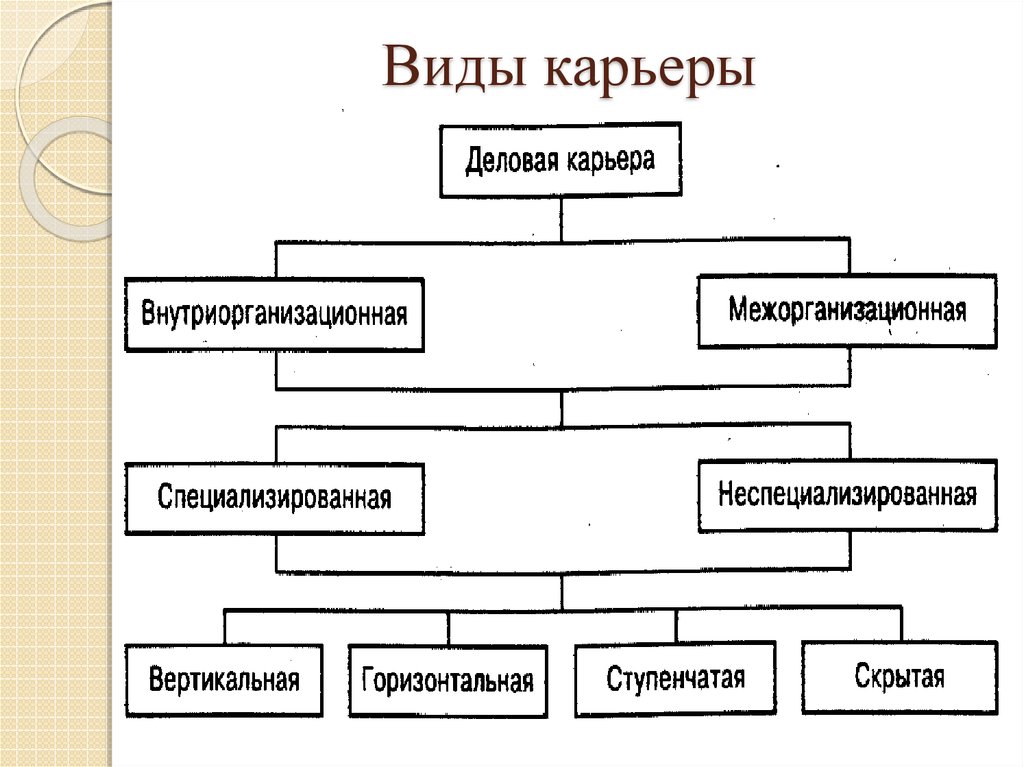 1 из видов. Виды карьеры. Виды деловой карьеры. Типы профессиональной карьеры. Виды карьеры схема.