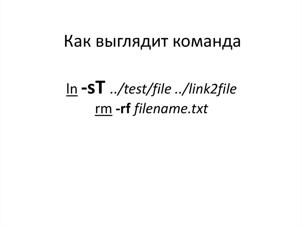 Как выглядит команда