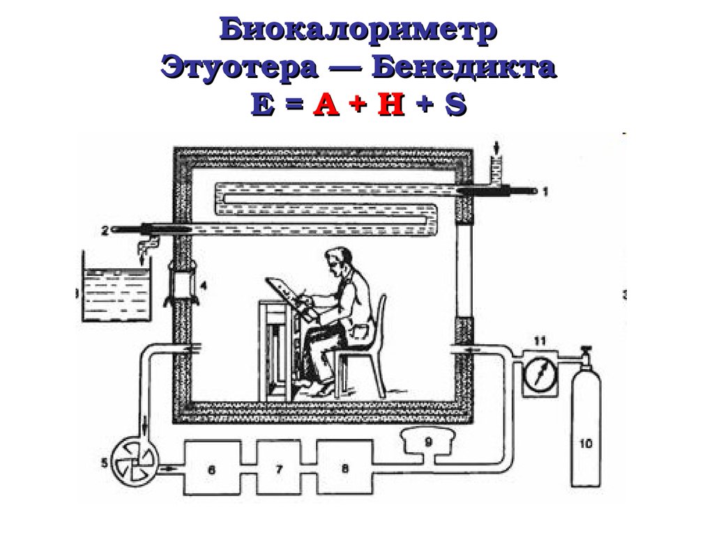 Непрямая калориметрия