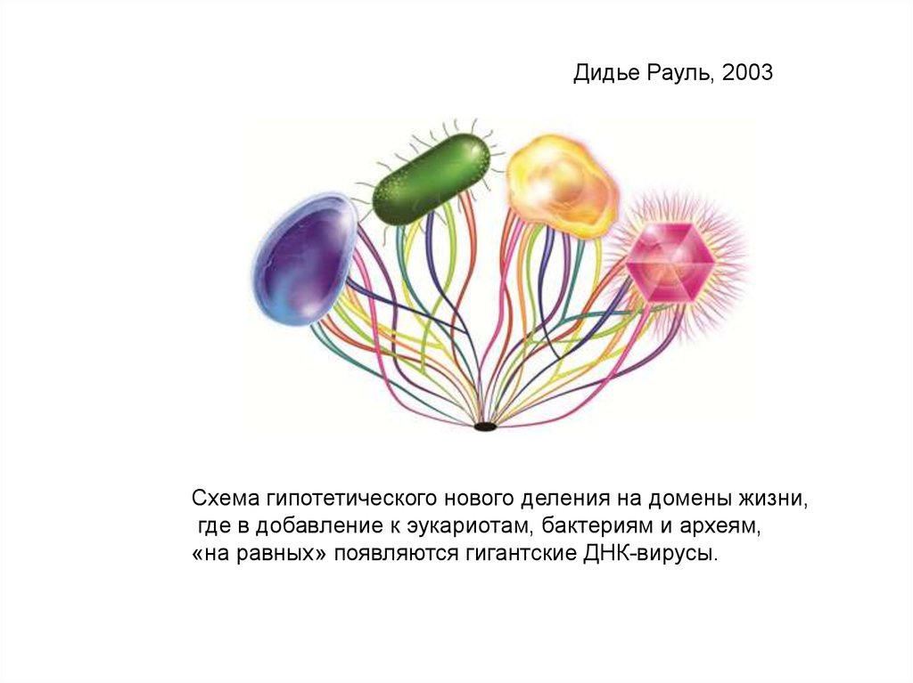 Дидье Рауль микробиолог. Схема Дидье. Положение микроорганизмов среди других существ. На какие домены разделены все живые существа.