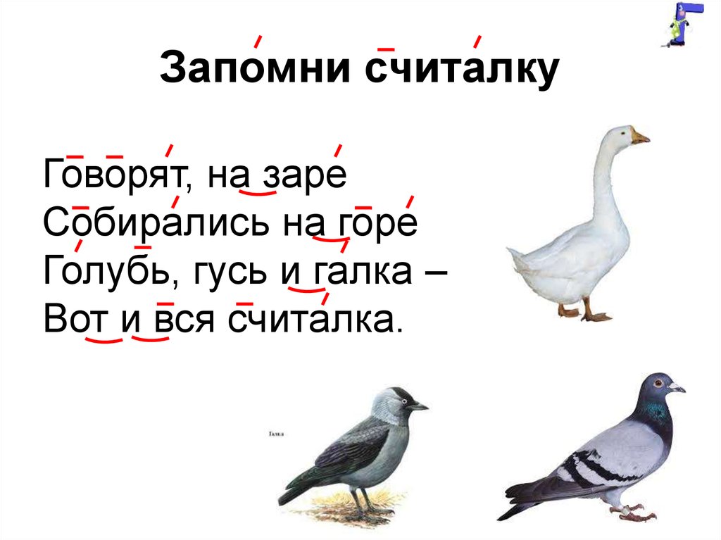 Выучить считалку. Выучить щеталку. Гусь и голубь. Считалка про домашних птиц.