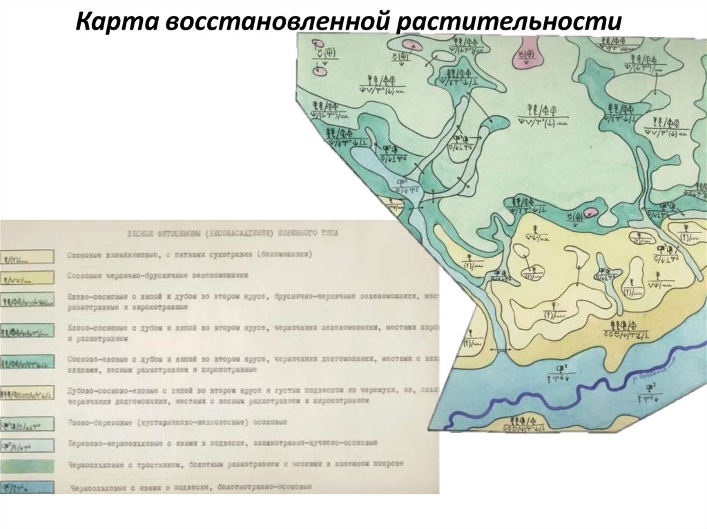 Карта забытого. Карты восстановленной растительности. Растительность на карте Легенда. Карты растительности крупномасштабные. Карта коренной растительности.