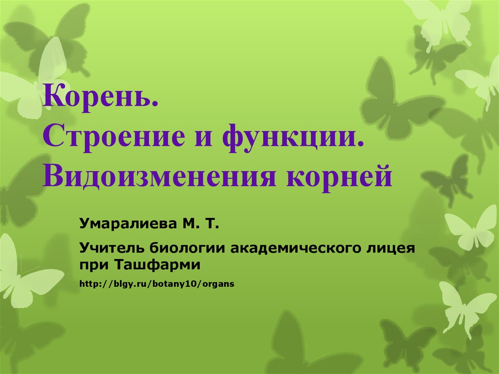 Презентация видоизменение побегов 6 класс презентация