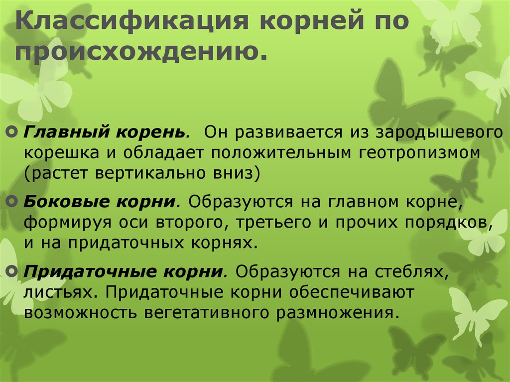 Происходит корень