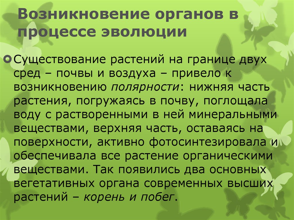 Органические растения