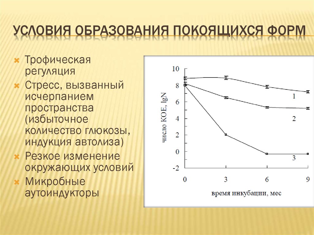 Автолиз процесс