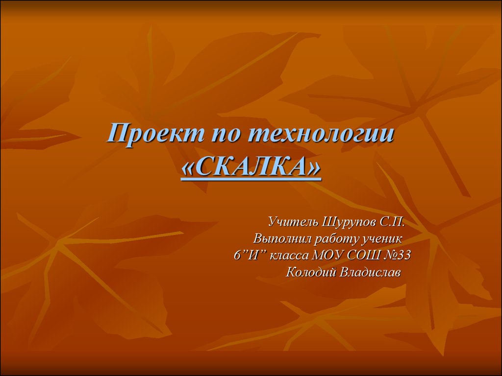 Информационный проект по технологии 8 класс