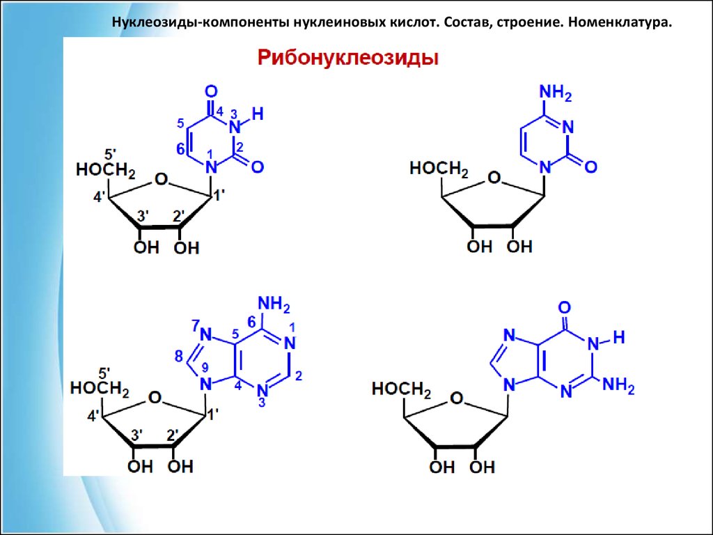 Входит в состав нуклеиновых кислот. Нуклеозид уридин. Структурные формулы нуклеозидов. Структура нуклеиновых кислот формула. Нуклеозиды нуклеотиды схема образования номенклатура.