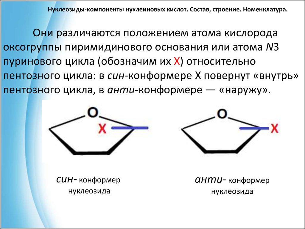 Элемент входящий в нуклеиновые кислоты. Нуклеозиды номенклатура и строение. Нуклеозиды их строение. Нуклеозиды строение строение и номенклатура. Нуклеозид это в химии.