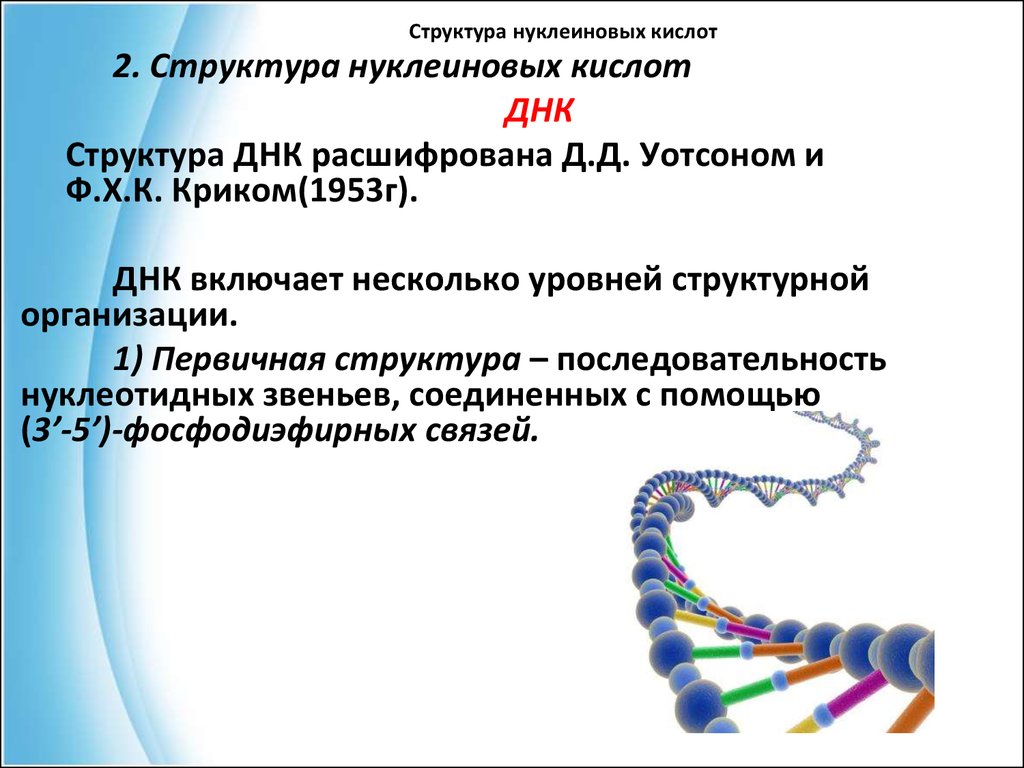 Структуру днк расшифровали