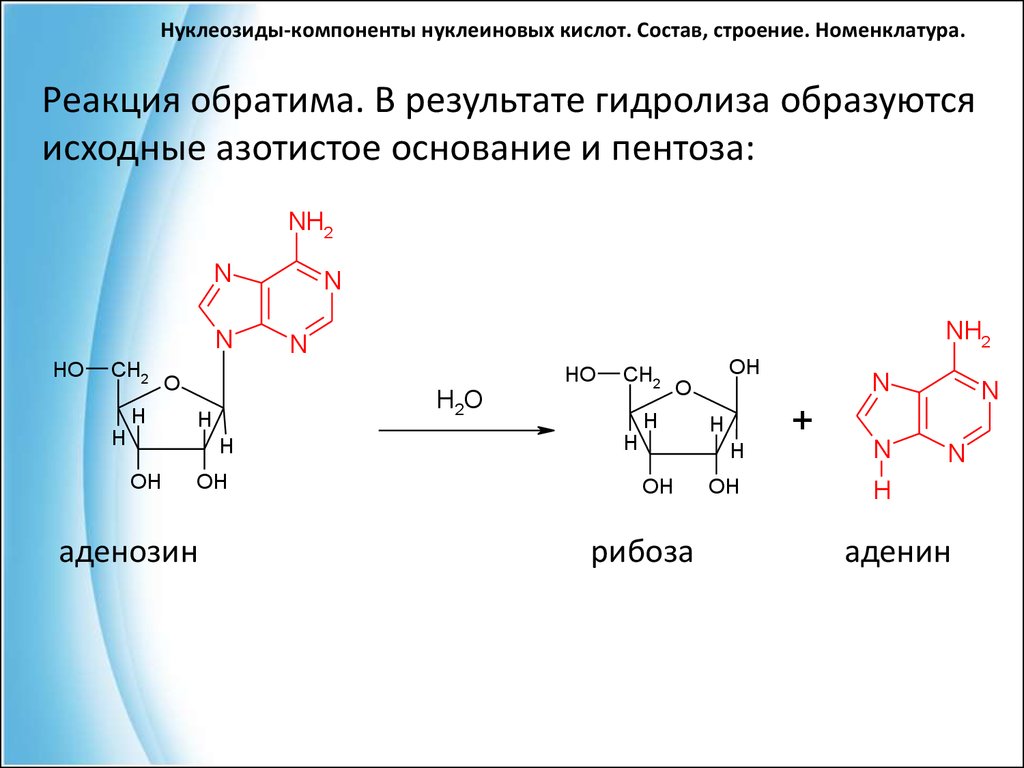 Нуклеиновые кислоты реакции. Нуклеозиды ДНК строение номенклатура. Кислотный гидролиз нуклеозидов. Взаимодействие аденозина с азотистой кислотой. Нуклеозиды РНК.