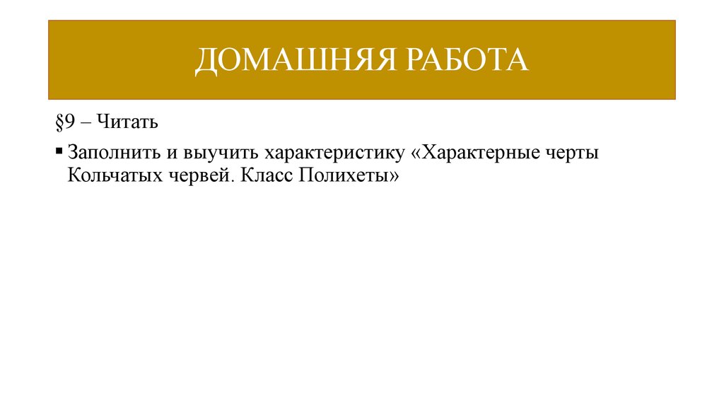 ДОМАШНЯЯ РАБОТА