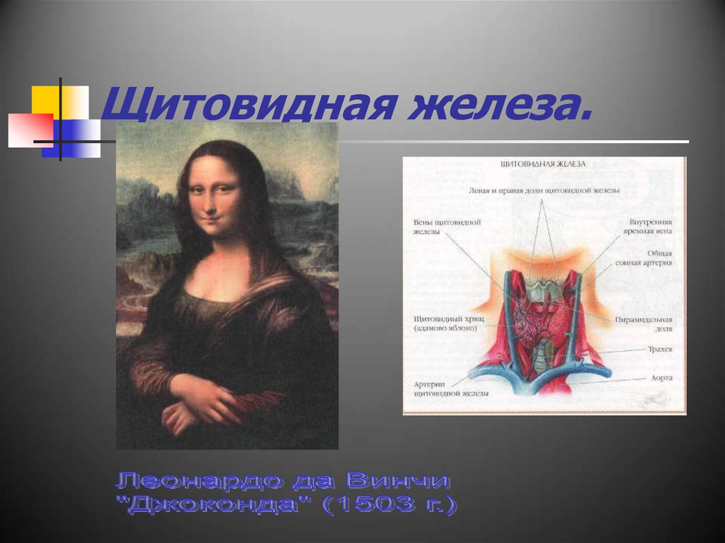 Эндокринология щитовидной железы. Зарисовки щитовидной железы Леонардо да Винчи. Леонарда да Виняи Велад в щитовидную железы. Первые изображения щитовидной железы Леонардо. Рисунки Леонардо щитовидная.
