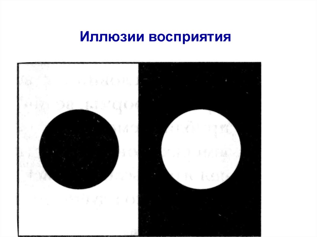 Иллюзия восприятия размера картинки