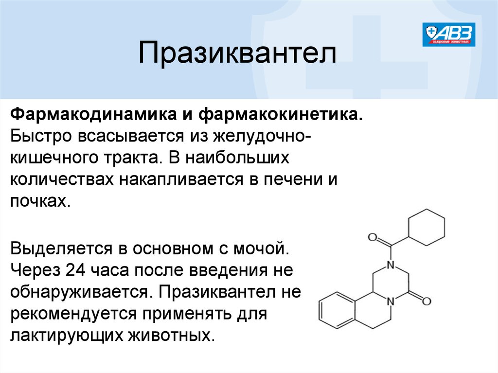 Празиквантел схема лечения