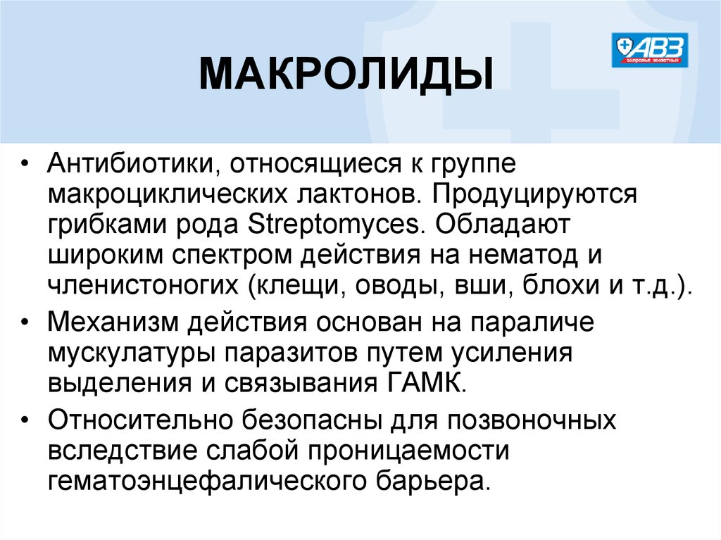 Азитромицин относится к группе антибиотиков