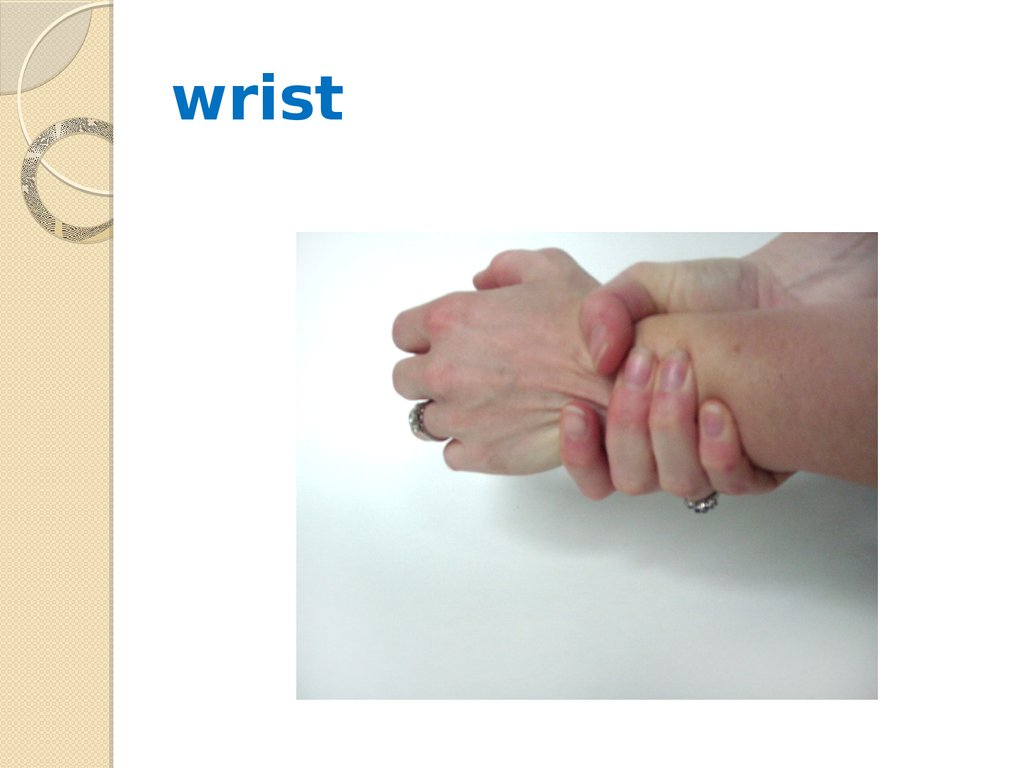 wrist