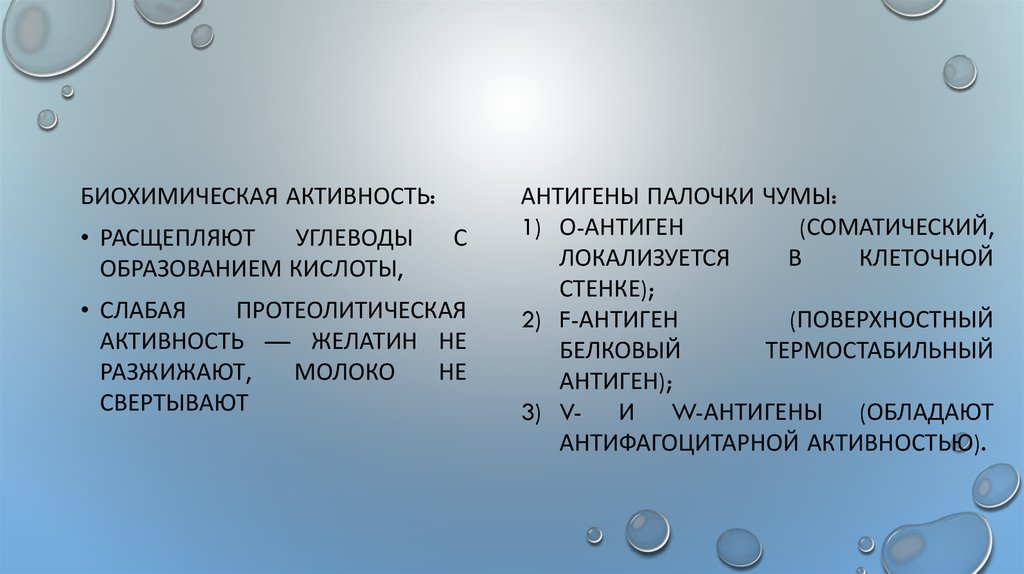 Кровяные инфекции наружных покровов