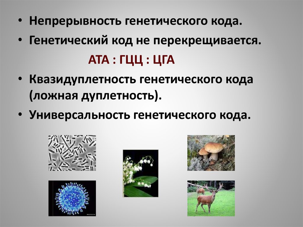 Код генетической информации. Непрерывность генетического кода. Непрерывность генетическрг Окода. Универсальность ген кода. Неперекрываемость генетического кода это.