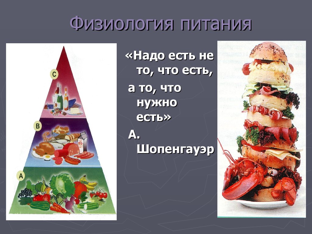 Кулинария 6 класс технология физиология питания презентация