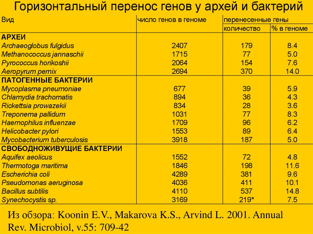 Горизонтальный перенос генов презентация