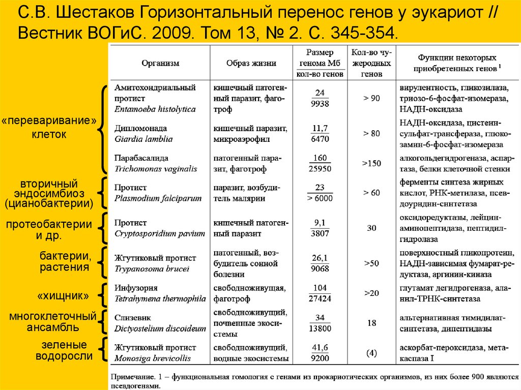 Горизонтальный перенос генов презентация