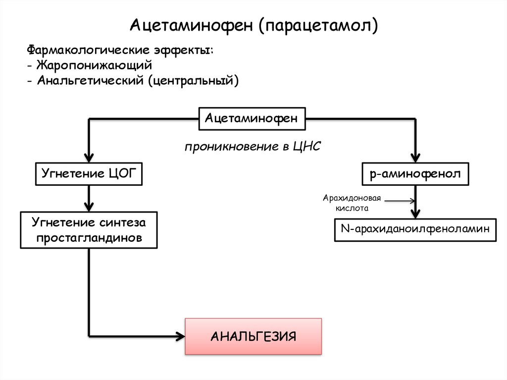 Парацетамол действие. Парацетамол механизм действия. Парацетамол механизм действия схема. Парацетамол механизм действия фармакология. Механизм анальгезирующего действия парацетамола.