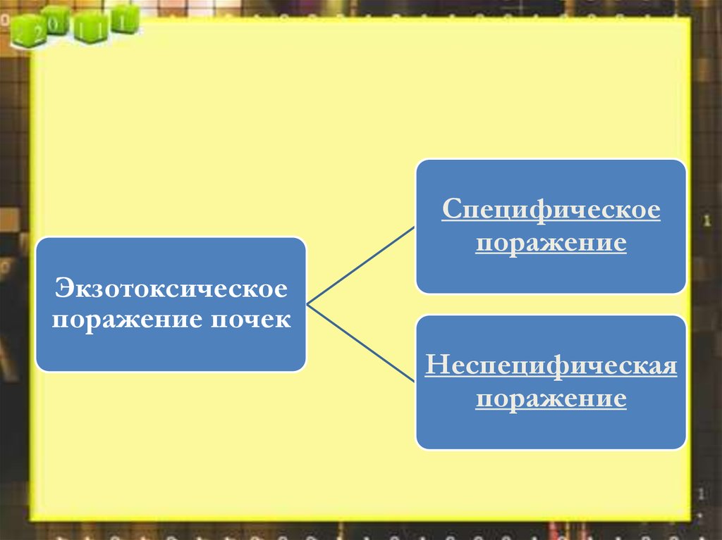 Токсическая нефропатия презентация