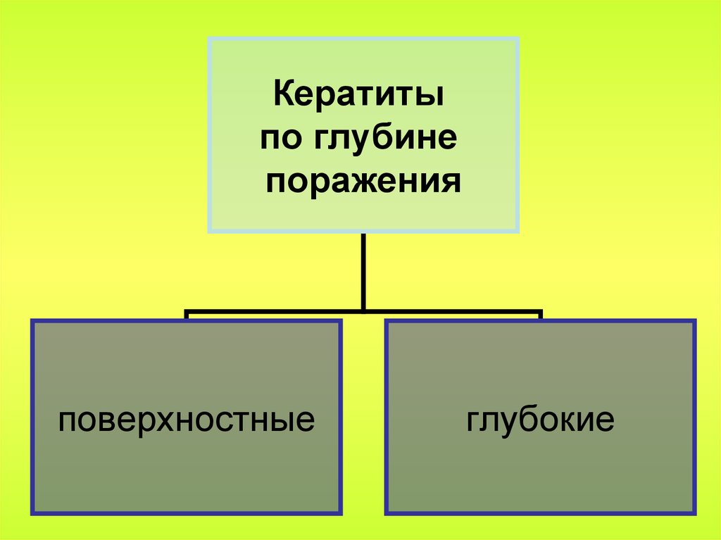 Экзогенные кератиты презентация