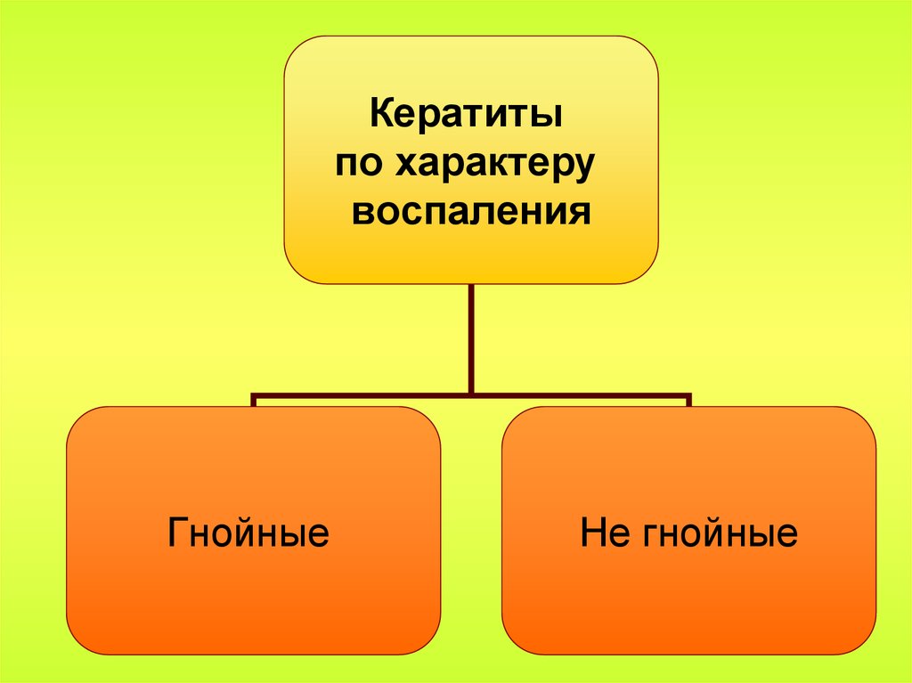 Экзогенные кератиты презентация