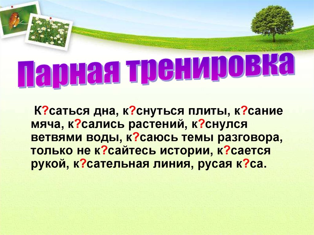 Прик снуться к сание