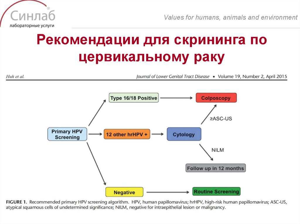 Рекомендации для скрининга по цервикальному раку