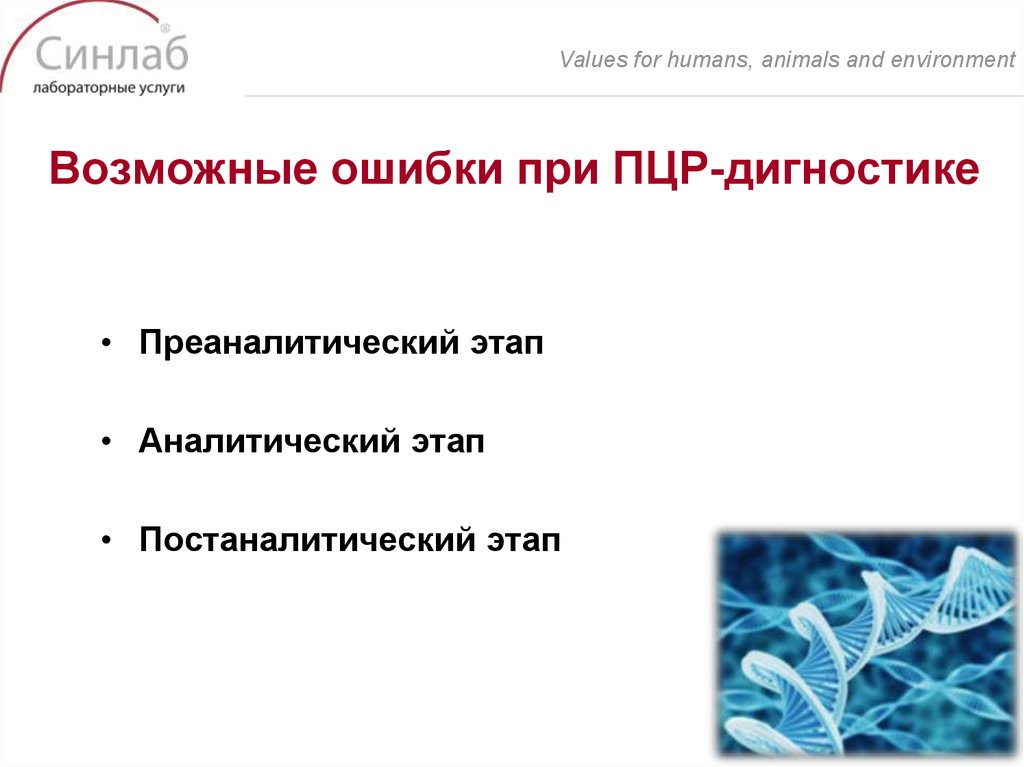 Возможные ошибки при ПЦР-дигностике